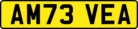AM73VEA