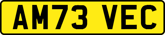 AM73VEC