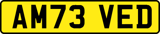 AM73VED