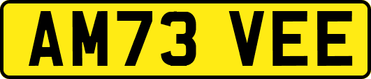 AM73VEE