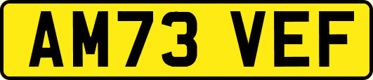 AM73VEF