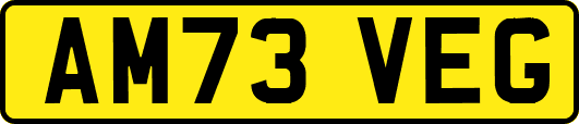 AM73VEG