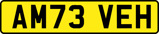 AM73VEH