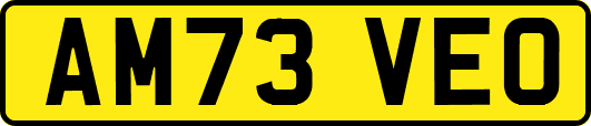 AM73VEO