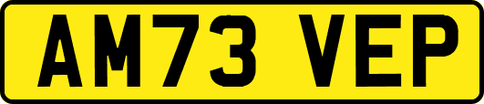 AM73VEP