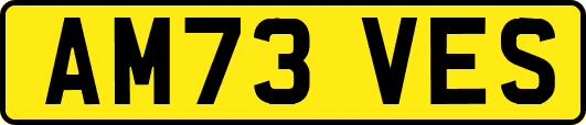 AM73VES