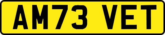 AM73VET