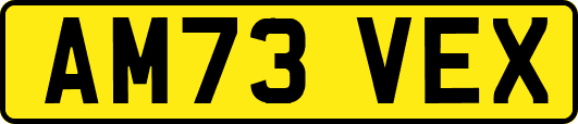 AM73VEX