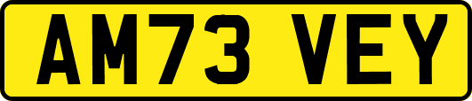 AM73VEY