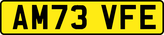 AM73VFE