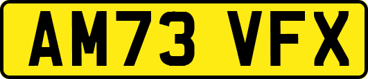 AM73VFX