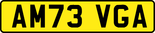AM73VGA