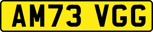 AM73VGG