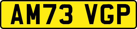 AM73VGP