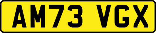 AM73VGX