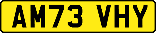 AM73VHY