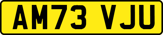 AM73VJU