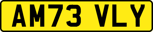 AM73VLY