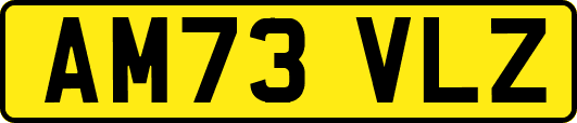 AM73VLZ