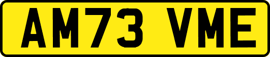 AM73VME