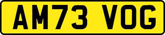 AM73VOG