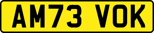 AM73VOK