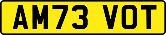 AM73VOT