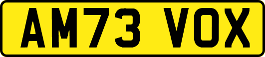 AM73VOX