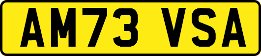AM73VSA