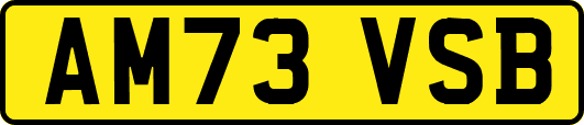 AM73VSB
