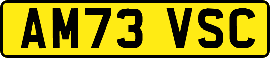 AM73VSC