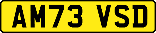 AM73VSD