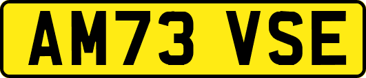 AM73VSE