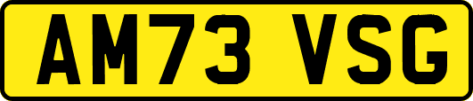 AM73VSG