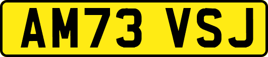 AM73VSJ