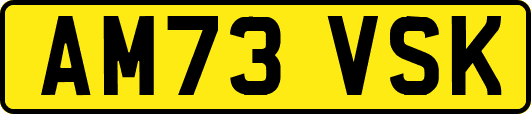 AM73VSK