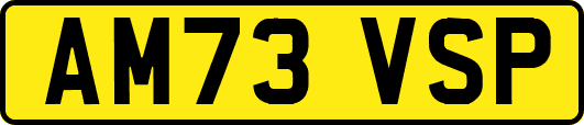 AM73VSP
