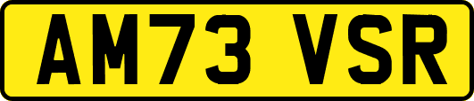 AM73VSR