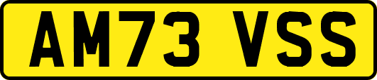 AM73VSS