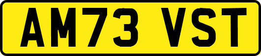AM73VST