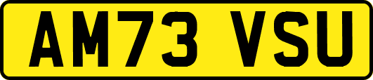 AM73VSU