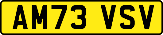 AM73VSV