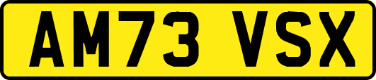AM73VSX