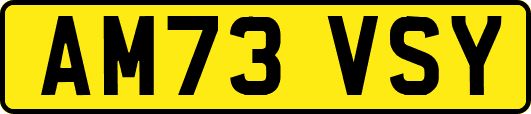 AM73VSY
