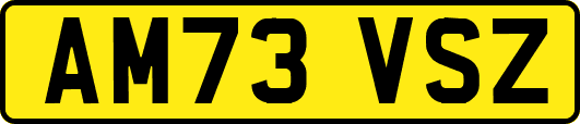 AM73VSZ