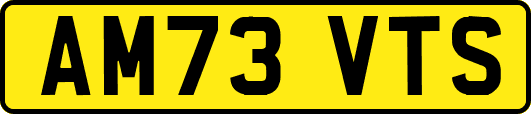 AM73VTS