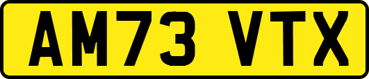 AM73VTX
