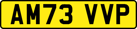 AM73VVP