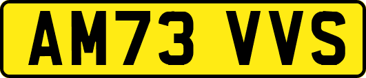 AM73VVS
