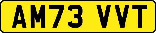 AM73VVT